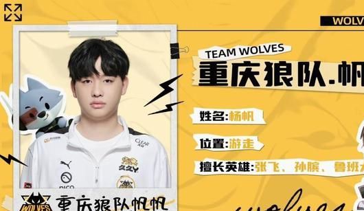 其阵容灵活 其阵容灵活